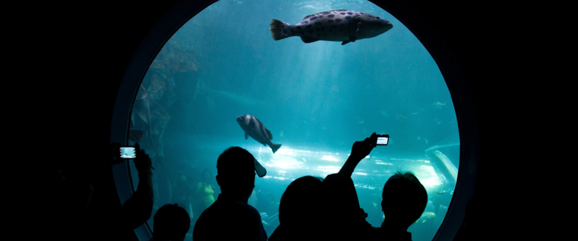 Exploring Excursions and Field Trips for Homeschoolers in Montgomery County, Texas